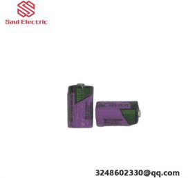 ABB SB808F 3BDM000199R1: RAM Buffering Battery, Dual Pack
