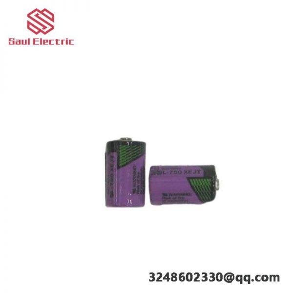 ABB SB808F 3BDM000199R1: RAM Buffering Battery, Dual Pack