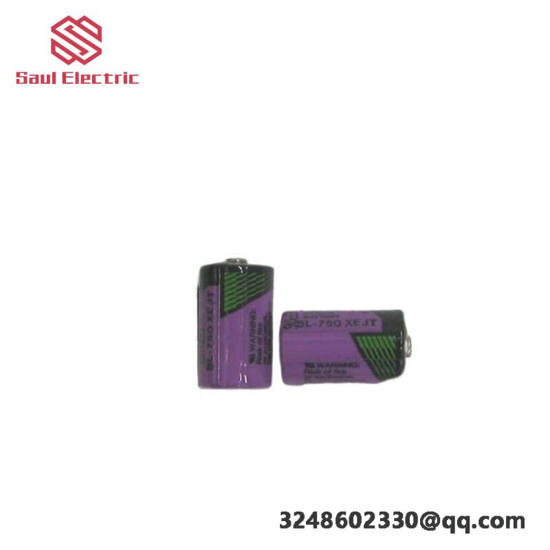 ABB SB808F 3BDM000199R1: RAM Buffering Battery, Dual Pack