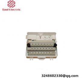 ABB TU839 TU836V1 Extension for DO820/DO821, with Insurance 2x4