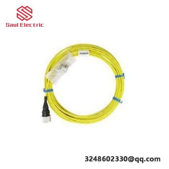 Bently Nevada CB2W100-015: Short Delivery Time Control Module
