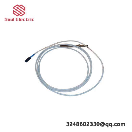 Bently PWA88219-01 Industrial Control Module
