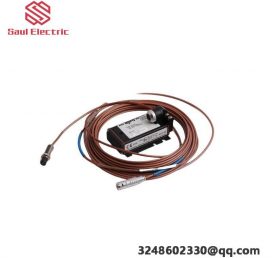 Emerson QPI3D200E2P - 9 Inch Monochrome QP Module, 24VDC, UL/cUL/CE Certified