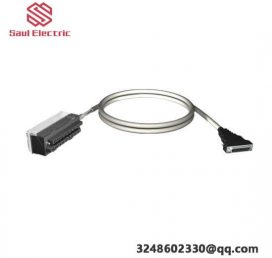 Schneider STBDDO3200K24VDC - 2 Channel Source-Type Discrete Output Module with Overcurrent Protection