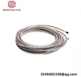 DSPC-170 Industrial Control System Module