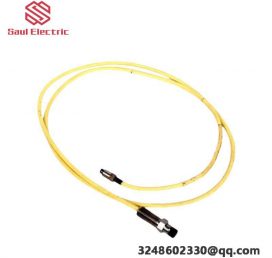 ABB CM-PAS.41P Industrial Control Module