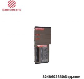 Emerson IC630MDL311RRSeries 3 24Vac/dc Source Input Module (16 points)